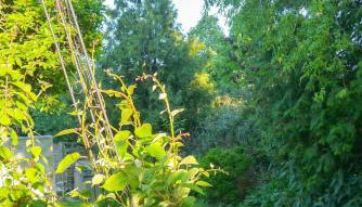 Biburg86420 - Foto 3