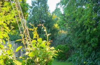 Biburg86420 - Foto 3