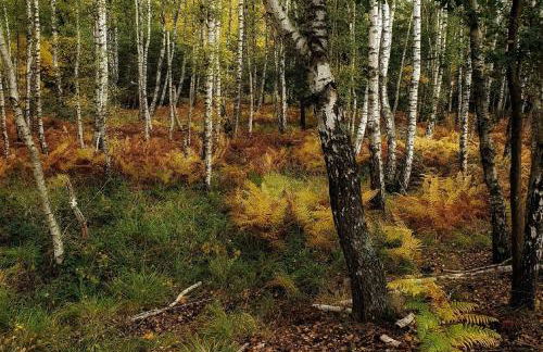 Ferienwohnung am Atelier Horn - Photo 31