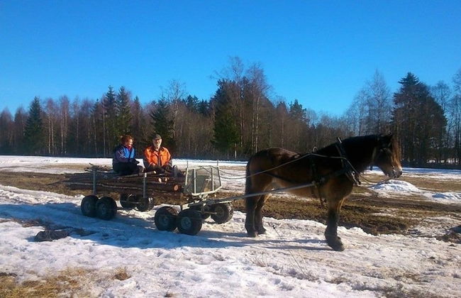 Tiny hut in the Forest Overlooking the River - Photo 25