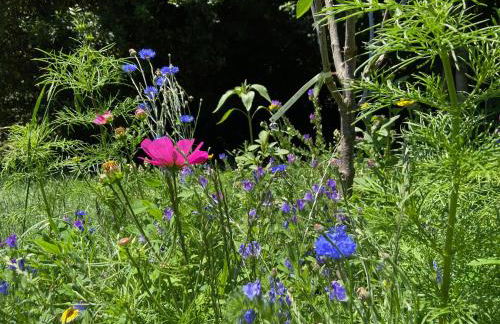 Villa Prat Bras - Appartements - Foto 8