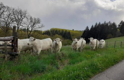 Gîte Authentique avec Internet Très Haut Débit à Amions-Vézelin - FR-1-496-226 - Foto 31