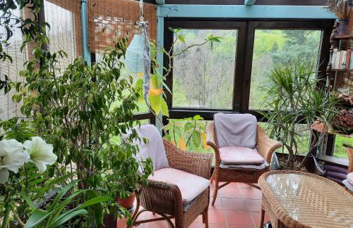 Rottgarten - Foto 19