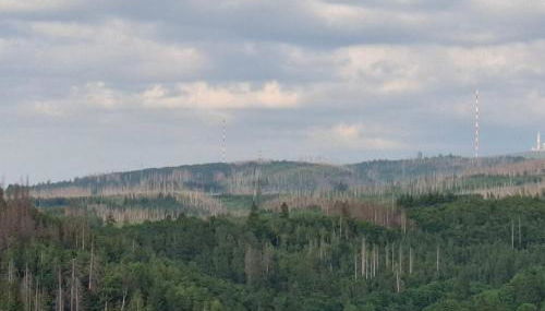 Feinwald Highline Altenau - Foto 3