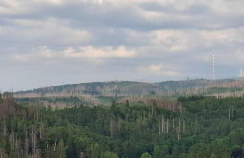 Feinwald Highline Altenau - Foto 3