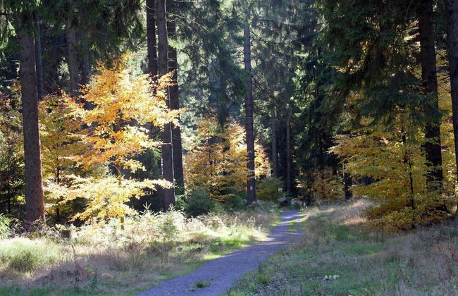 Spacious Stay Near Trails - Foto 19