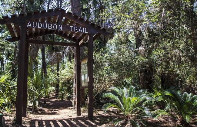 45 Davis Love Dr - Foto 51