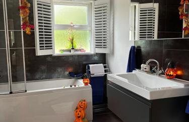 Forest Path luxury Studio Apartment with large bedroom bathroom and sauna Sleeps up to 4 - Photo 8