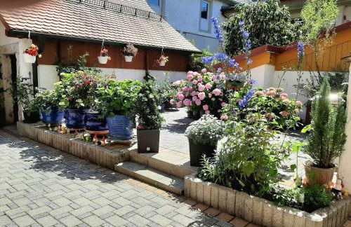 Ferienhäuschen Rosi Brehm - Foto 14