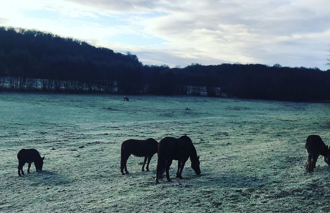 Gîte du Château D'hodebert - Foto 27