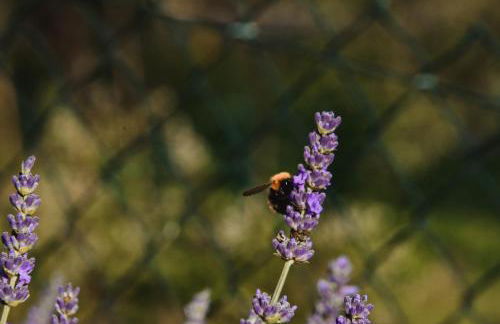 Appartamento a Villa Rosa - Foto 38