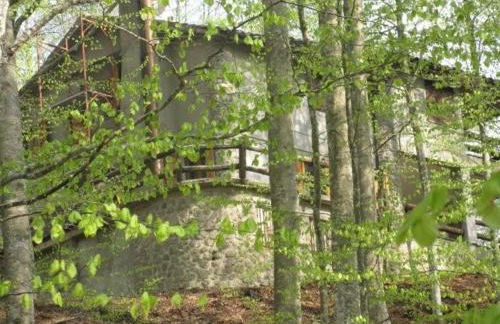 Casa nel bosco alle Macinaie - Foto 2