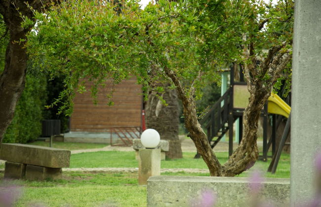 Il Contadino - Foto 29