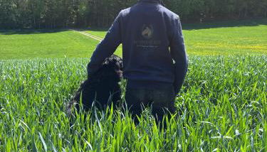 Haflinger Hof Detig - Photo 4