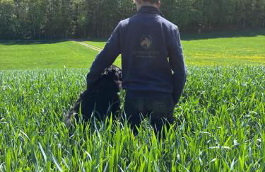 Haflinger Hof Detig - Photo 4