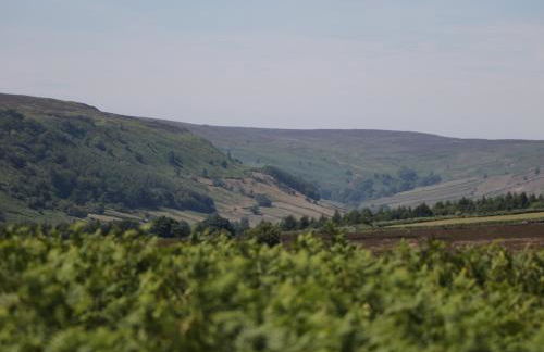 Meadow Cottage - Foto 20