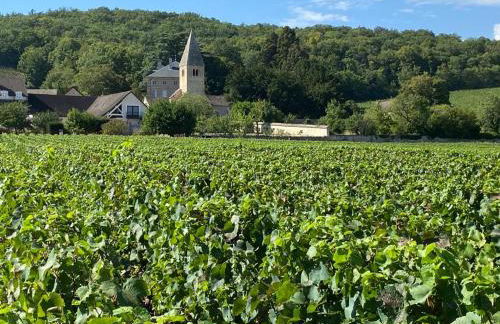 Au cœur des vignes - Foto 7