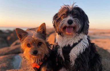 Gîte Bihan 4P piscine ou jacuzzi - Foto 15