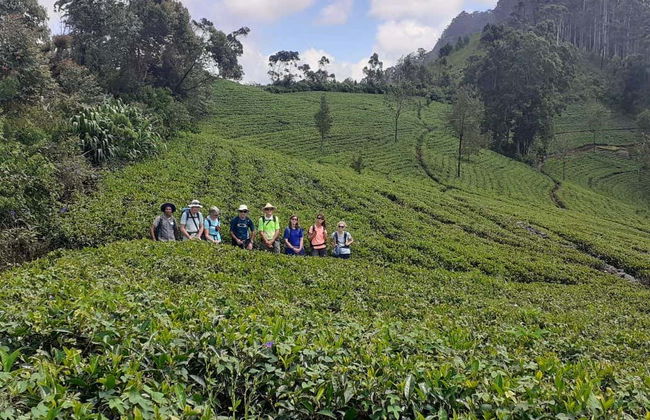 Tour en tuk tuk por las plantaciones de té de Haputale - Foto 8
