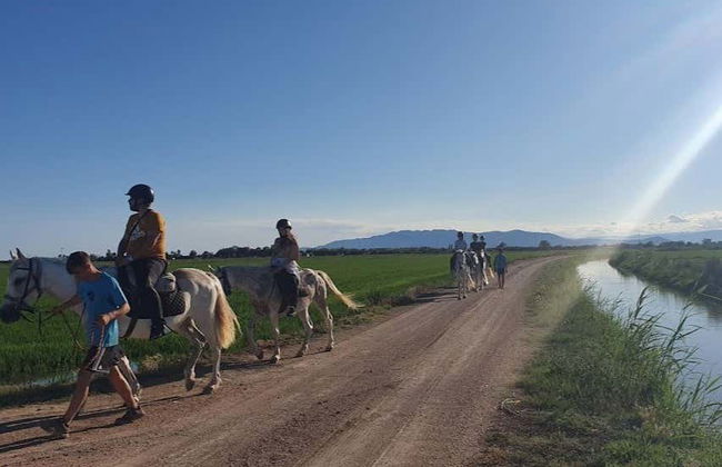 Paseo a caballo por el Delta del Ebro - Foto 7
