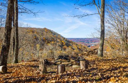 Brow Bella - Mt Views, Hot Tub & Porch - Foto 25