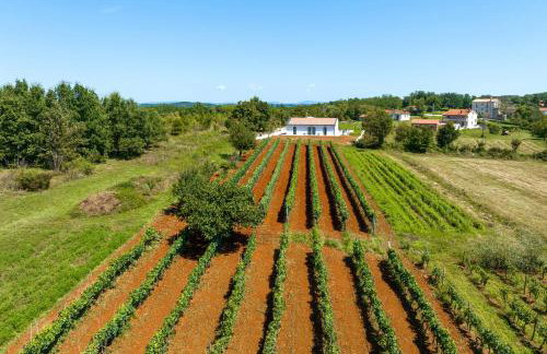 Villa Levak - Foto 72