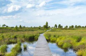Ferienwohnung Venwegen - Foto 13