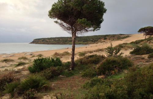 Casita de Bolonia - Foto 22