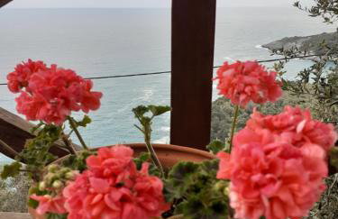 LIMNIONAS SUNVIEW - Foto 34