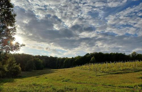 Siedlisko Dwa Żurawie - Uroczy domek nad stawem, z kominkiem, obok konie - Foto 23