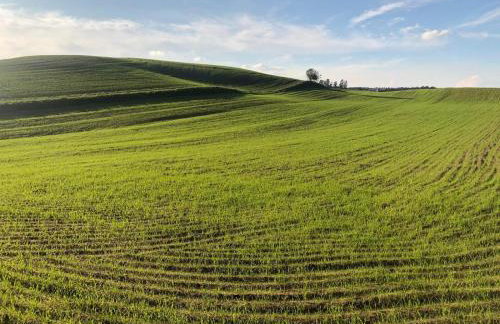 Agroturystyka Lisa Młyn - Foto 27