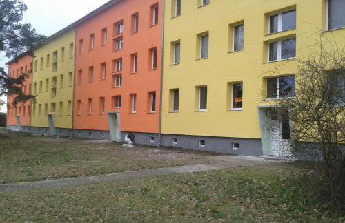 Natur-Freude-18 - Foto 5