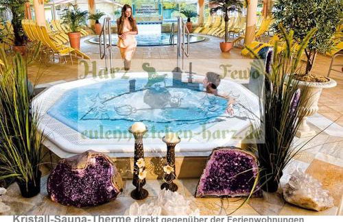 Eulennestchen-Harz Fewo S1 oder L2 Für Single, Paar oder Familie & Hund Oberharz - Foto 22