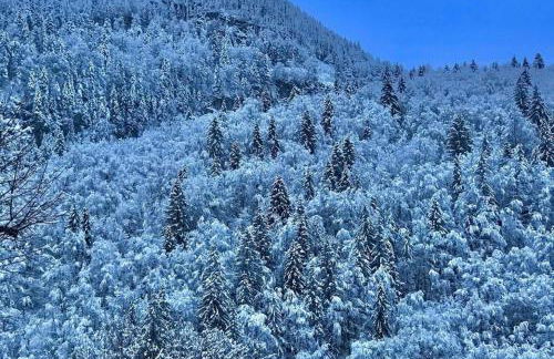 Appartement proche de la ville et du parc du Truchet - Foto 20