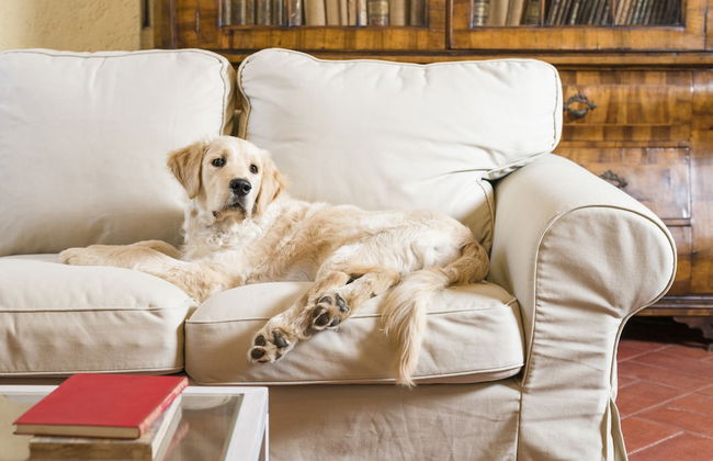 Fattoria Pian di Rocca - Foto 59