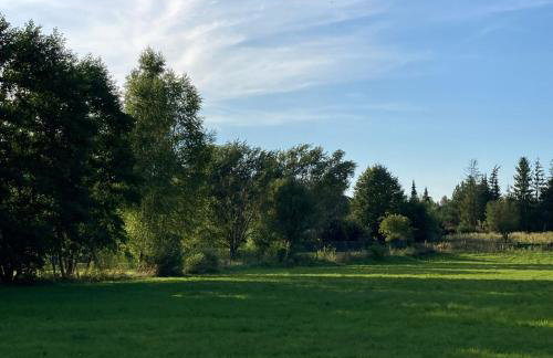 Letnia Oficyna - Foto 29