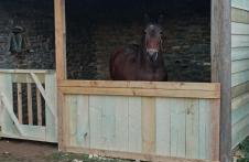 Venus cottage - Foto 5