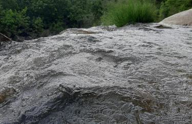 Villa Flor e Cor - Foto 37