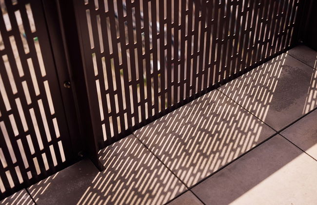 The Blossoms - Foto 54