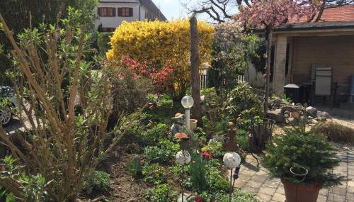 Apartmentvermietung Ingrid Bolkart - Vöhlino 2 - Foto 5, Garden view