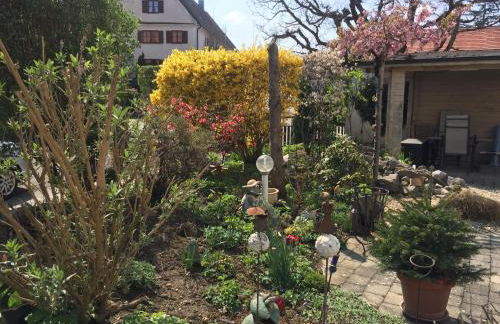 Apartmentvermietung Ingrid Bolkart - Vöhlino 2 - Foto 5