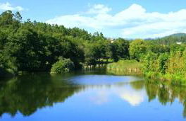 Casa Da Rocha - Foto 38