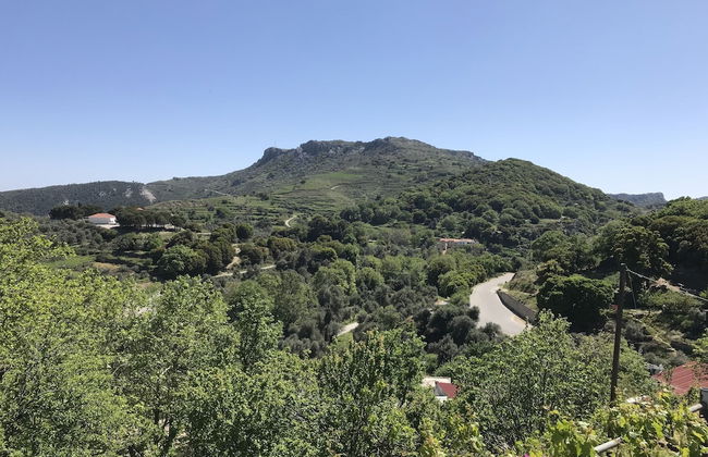 Temenia House - Foto 14