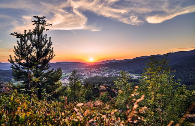 Ferienwohnung in Bodenmais am Grossen Arber - Foto 14