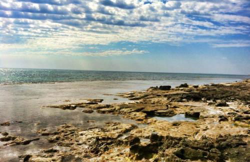 Blue Serena - Top floor overlooking the nature - Photo 26