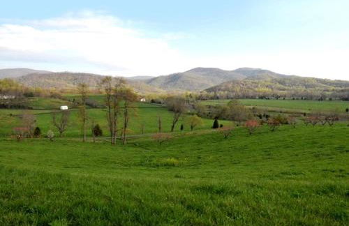 Deluxe Glamping Cabins at River Farm in Virginia - Foto 9