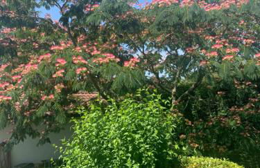 Magnifique T1 entre mer et montagne - Foto 11