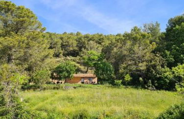 Cabanon provençal - Foto 10