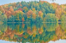 Czaplowisko - domki z sauną na Kaszubach - Foto 17