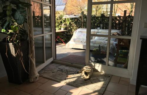 Raben Steinfeld Forststrasse Am Residence-Park - Foto 12